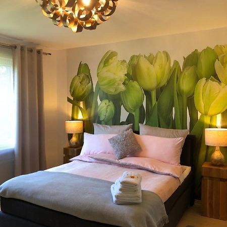 Apartment-47 Fulda Petersberg  Eksteriør billede
